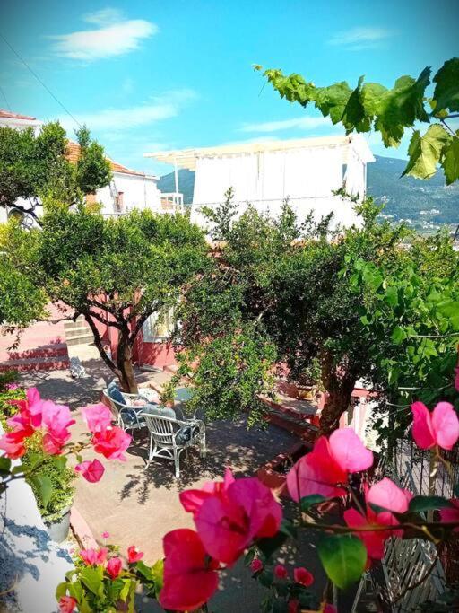 Vila Duka'S Gardenhouse Skopelos Exteriér fotografie